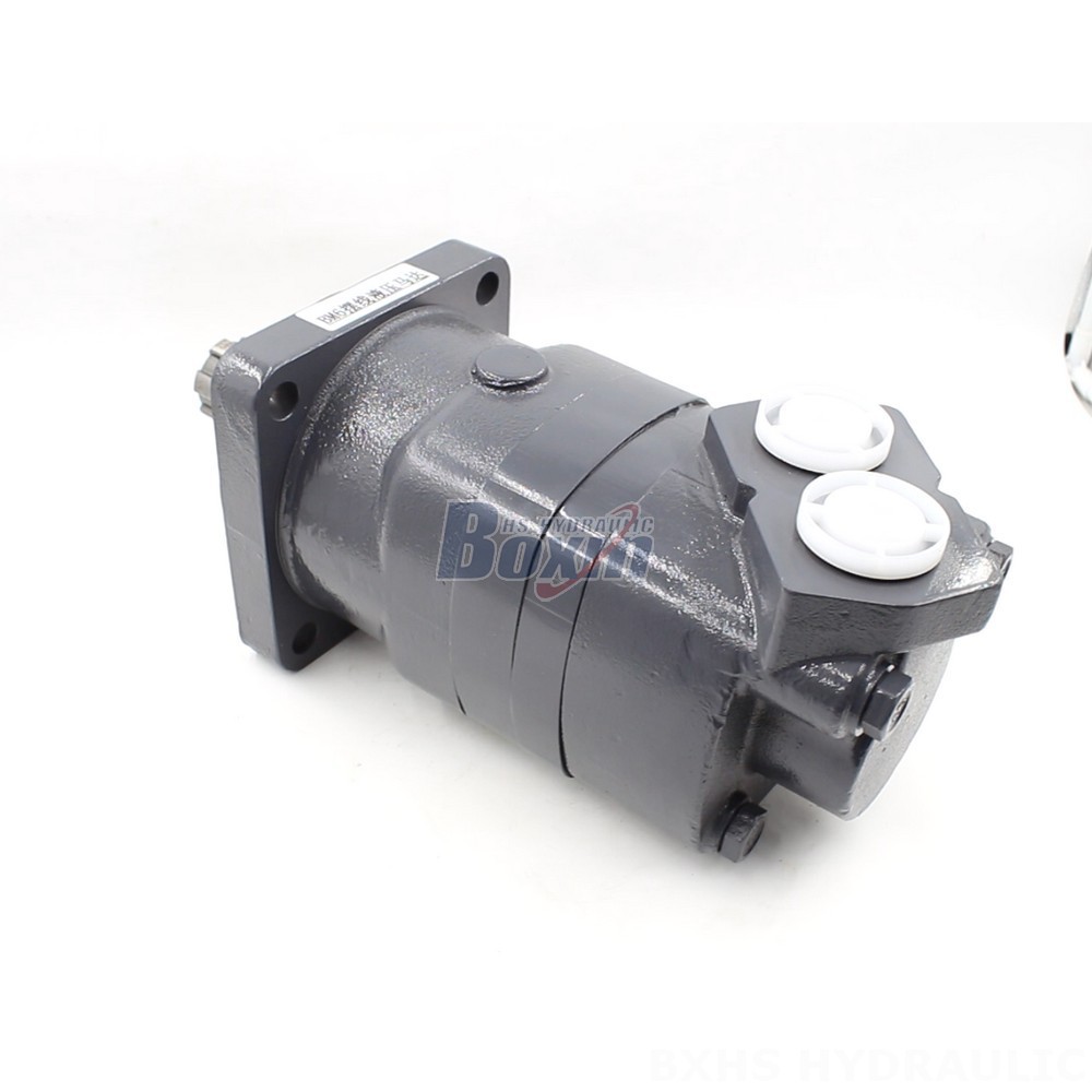 BM6 Cycloid Hydraulic Motor: Partnership Opportunities for Global Distributors main image